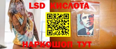 молекула духа Шелехов