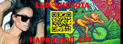 молекула духа Шелехов