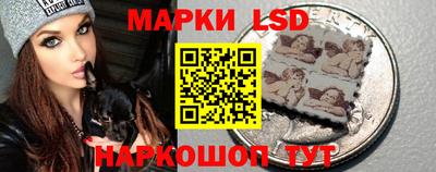 молекула духа Шелехов