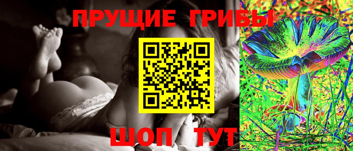 Барнаул  Галлюциногенные грибы Cubensis  Вход с VPN 